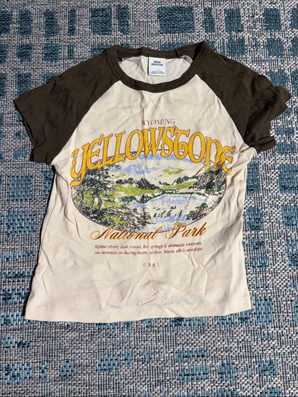 Urban Outfitters Cream & Brown Yellowstone Raglan Tee